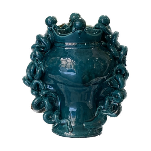 Medusa Head