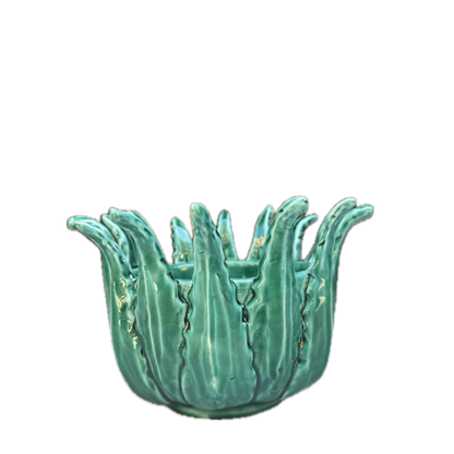 Vaso Agave